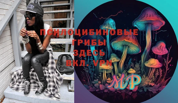 прущие грибы Аркадак