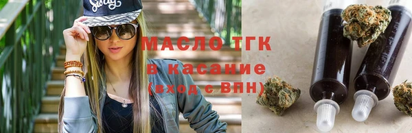 прущие грибы Аркадак