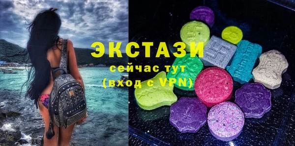 хмурый Арсеньев