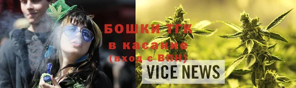 хмурый Арсеньев