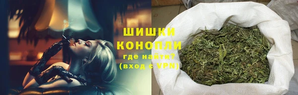 хмурый Арсеньев