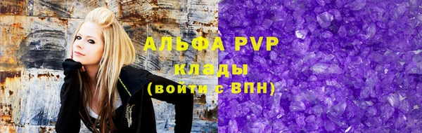 прущие грибы Аркадак