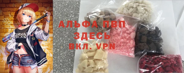 хмурый Арсеньев