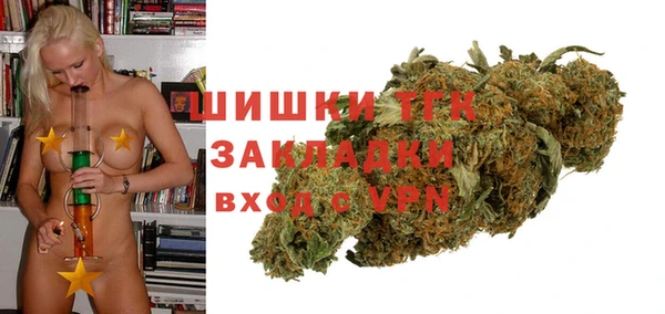 хмурый Арсеньев