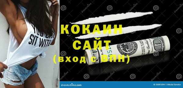 прущие грибы Аркадак