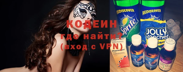 хмурый Арсеньев
